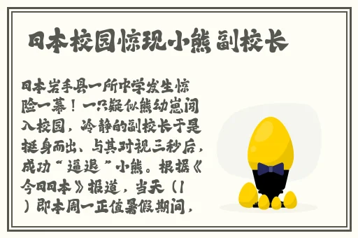 2021年都用什么软件约人