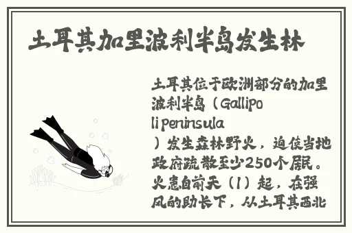 麻豆视频免费入口